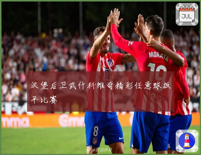 汉堡后卫武什科维奇精彩任意球扳平比赛