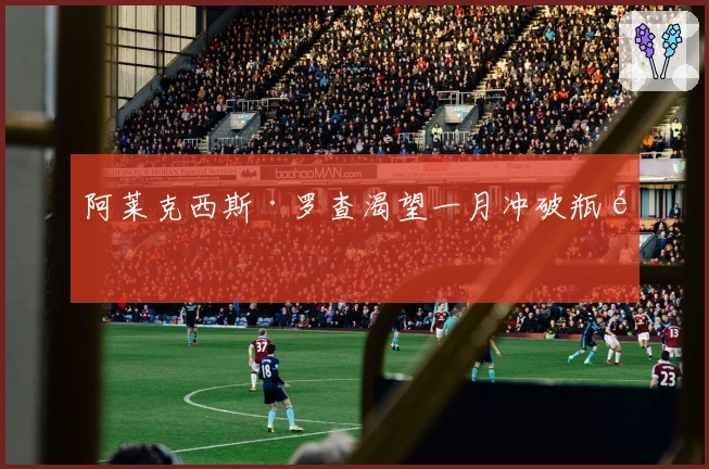 阿莱克西斯·罗查渴望一月冲破瓶颈