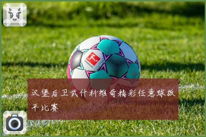 汉堡后卫武什科维奇精彩任意球扳平比赛