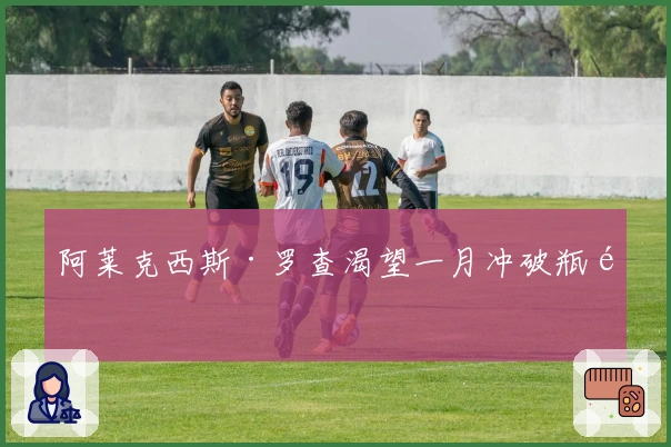 阿莱克西斯·罗查渴望一月冲破瓶颈