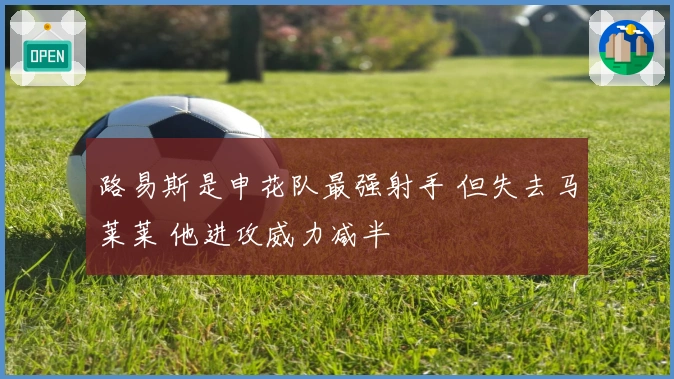 路易斯是申花队最强射手 但失去马莱莱 他进攻威力减半